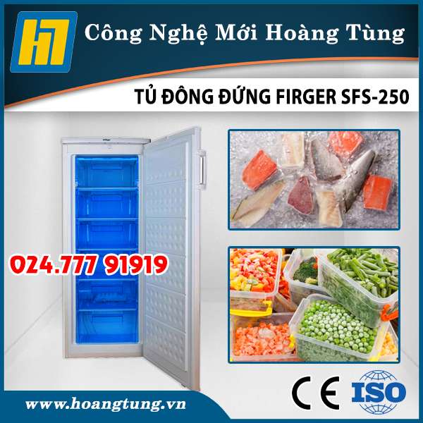 Tủ Đông Đứng Firger SFS-250